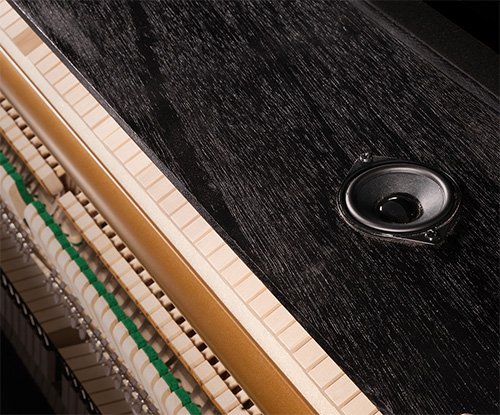 C101B high-fidelity 10-speaker system