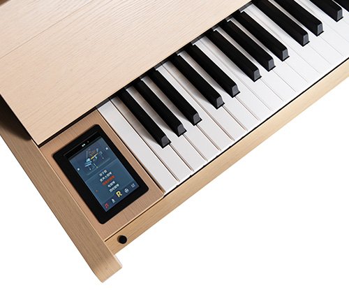 Pearl River DQ100 Multifunctional Hybrid-Controls