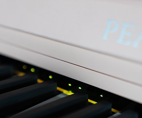 Pearl River DQ100 Multifunctional Hybrid-Lit keys