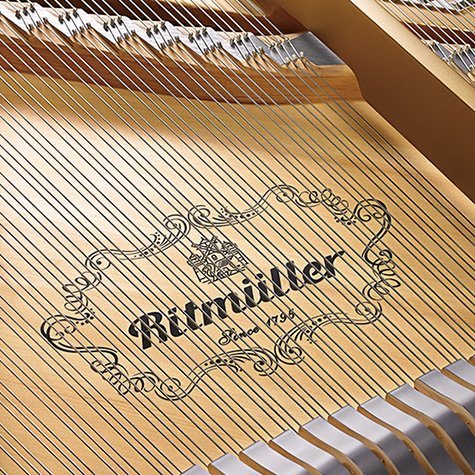 Ritmuller Photo Gallery - Strings and Logo